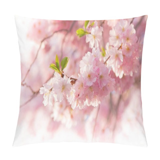 Personality  Spring Border Background With Pink Blossom Pillow Covers