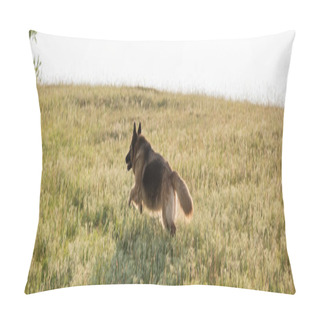 Personality  Cattle Dog Running On Green Meadow In Countryside, Banner Pillow Covers