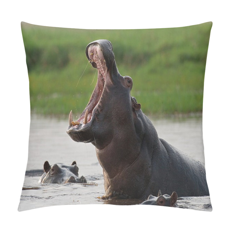 Personality  Wild Hippopotamuses in the water pillow covers