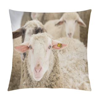 Personality  Sheep Portrait Pillow Covers