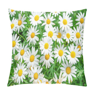 Personality  Daisy Pillow Covers