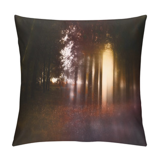 Personality  Abstract And Mysterious Background Of Blurred Forest Pillow Covers