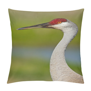 Personality  Sandhill Crane (Grus Canadensis) Pillow Covers