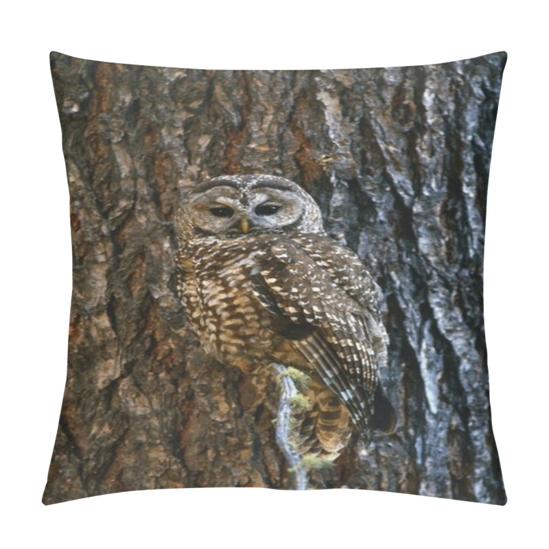 Personality  Mexican Spotted Owl Camouflaged Against Tree Bark pillow covers