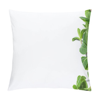 Personality  Top View Of Green Peppermint On White With Copy Space Pillow Covers