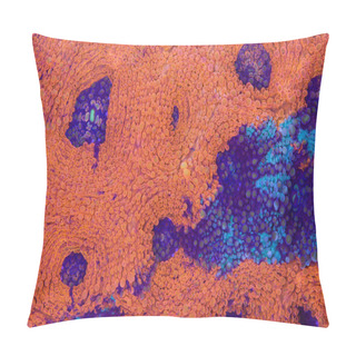 Personality  Bright Orange And Blue Acanthastrea Echinata Pillow Covers