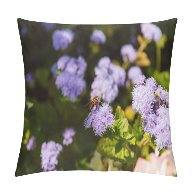 Personality  Selective Focus Of Bee On Hydrangea Flowers  Pillow Covers