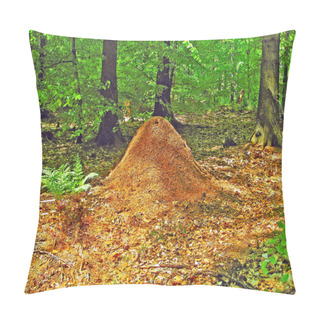 Personality  Anthill Pillow Covers