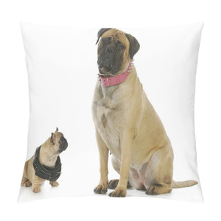 Personality  Big And Small Dog Pillow Covers