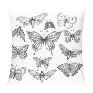 Personality  Butterfly, Mariposa Sketch Pillow Covers