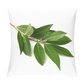 Personality  Branch Of Laurel Pillow Covers