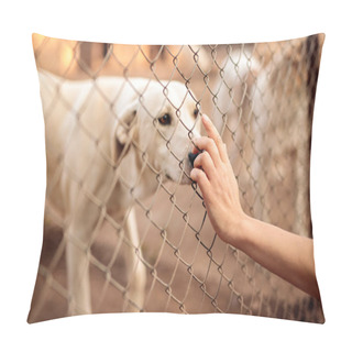 Personality  Crop Person Touching Cage With Stray Dog Pillow Covers