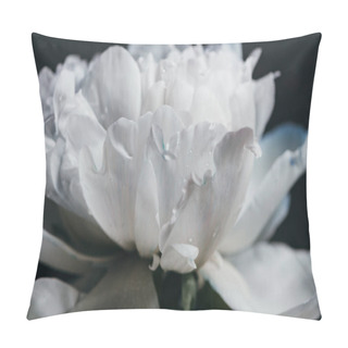 Personality  Close Up View Of Blue And White Peony With Drops Isolated On Black Pillow Covers