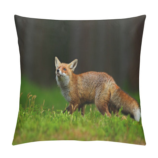Personality  Running Red Fox Pillow Covers