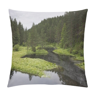 Personality  Norwegian Forest Clearing With Still Water Flatelandsfjorden Pillow Covers