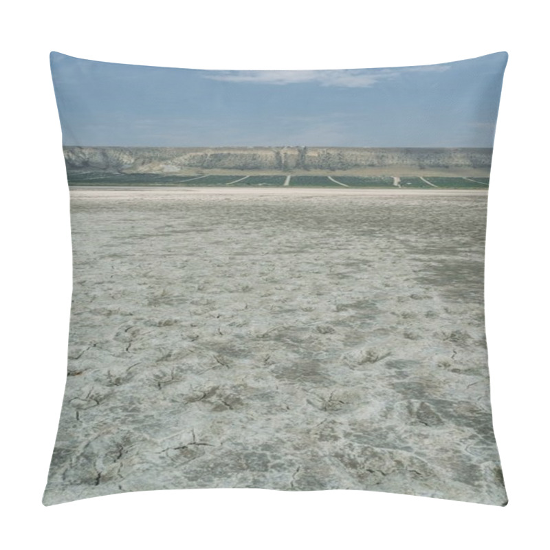 Personality  Dry ground in mountainous area of Crimea, Ukraine, May 2013 pillow covers