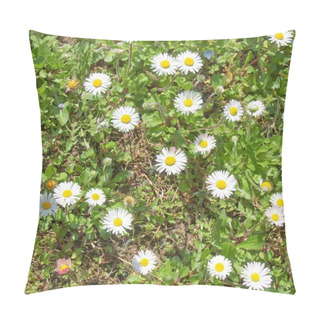 Personality  Daisy Flower Pillow Covers