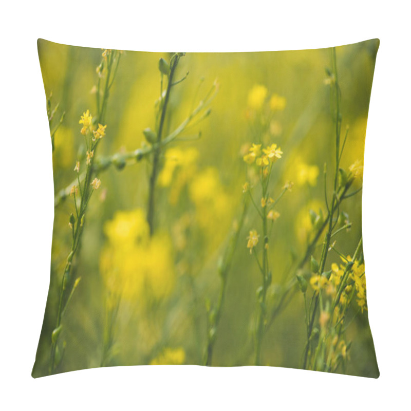 Personality  Blooming yellow flowers on summer meadow pillow covers