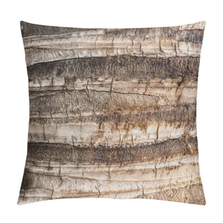Personality  Bark Of Coconut Palm Pillow Covers