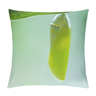 Personality  A Closeup Shot Of A Monarch Butterfly Pupa Hanging From A Leaf Pillow Covers
