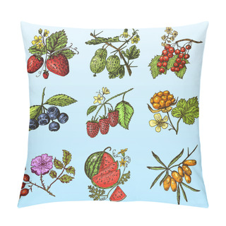 Personality  Set Berries. Raspberry, Blueberry, Sea Buckthorn, Red Currants, Strawberry, Gooseberry, Watermelon, Cloudberry, Dog Rose, Blueberry, Raspberry. Engraved Hand Drawn In Old Sketch, Vintage Style. Pillow Covers
