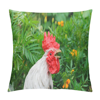 Personality  Garden Figure Rooster On The Background Of Green Plants Pillow Covers