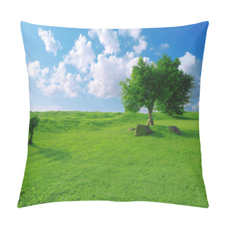Personality  Blue Sky And Grass Pillow Covers