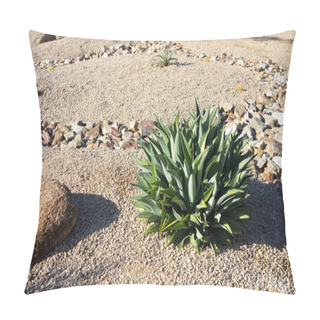 Personality  Desert Landscaping With Native Drought Tolerant Agave Succulents, Golden Barrel Cacti, Natural Boulder And Rocks In Phoenix, Arizona Pillow Covers
