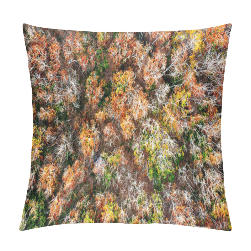 Personality  An aerial view of a rubber plantation in Thailand defoliating in summer. autumn forest in the morning pillow covers