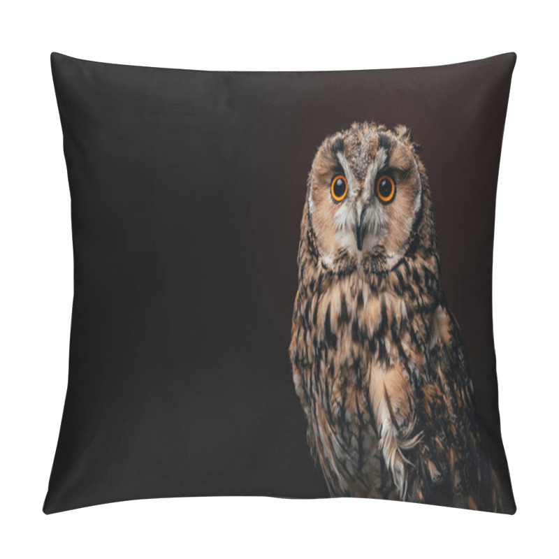 Personality  Cute Wild Owl Isolated On Black Pillow Covers
