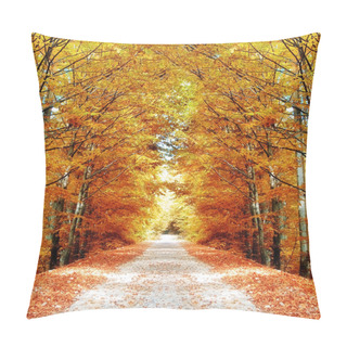 Personality  Pathway In The Forest Pillow Covers