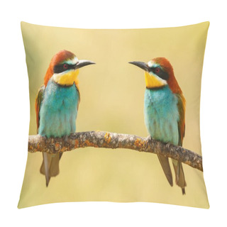 Personality  Couple Of Bee-eaters On Branch Pillow Covers