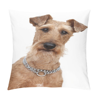 Personality  A Dog Is The Irish Terrier Pillow Covers