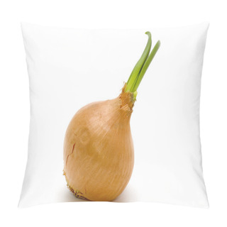 Personality  Onion On White Pillow Covers