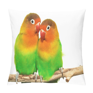 Personality  Pair Of Lovebirds Agapornis-fischeri Isolated On White Pillow Covers