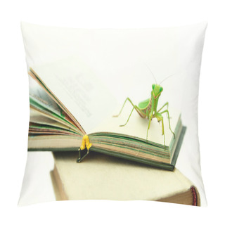 Personality  Green Mantis On An Old Book, Close Up Pillow Covers