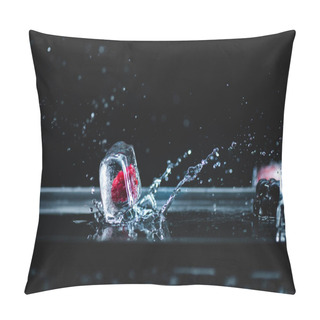 Personality  Raspberry Frozen In Ice Cube Pillow Covers