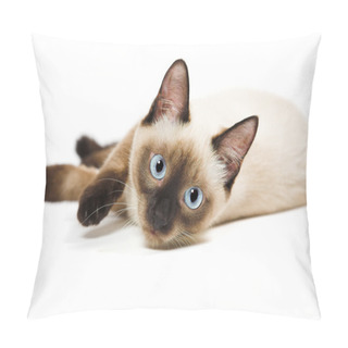 Personality  Siamese Cat Pillow Covers