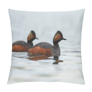 Personality  The Black-necked Grebe Birds Pillow Covers