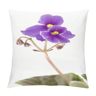 Personality  Violet Pillow Covers