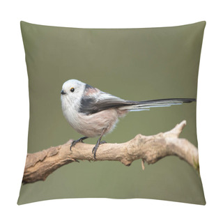 Personality  Long Tailed Tit (Aegithalos Caudatus) Pillow Covers