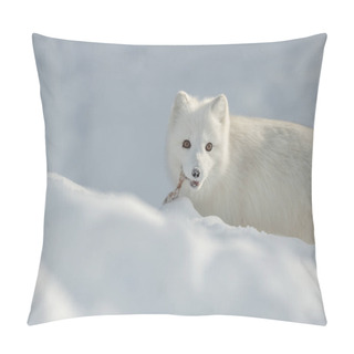Personality  Arctic Fox In Snow Pillow Covers