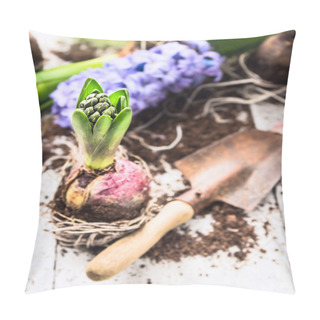 Personality  Hyacinth Bulbs With Roots, Soil  And Old  Shovel  On White Wooden Garden Table, Spring Gardening Pillow Covers