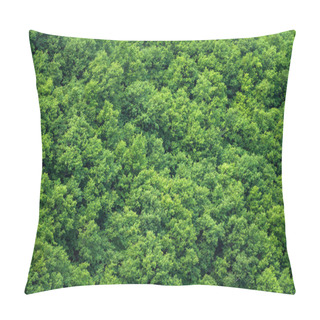 Personality  Green Trees Forest Background, View From Above Pillow Covers