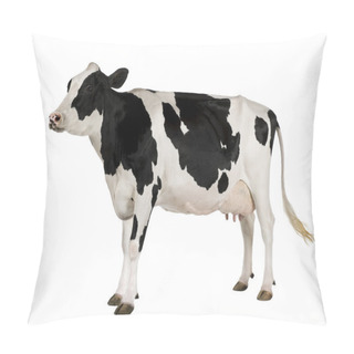 Personality  Holstein Cow, 5 Years Old, Standing Against White Background Pillow Covers