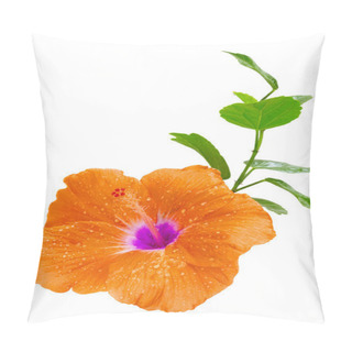 Personality  Orange Hibiscus,Tropical Flower On White Background Pillow Covers
