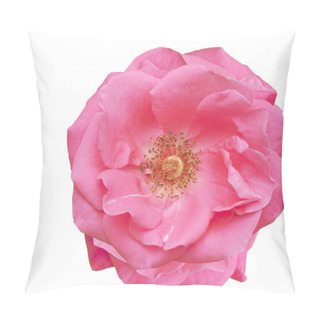 Personality  Pink Rose Blossom Spring Flower Pillow Covers