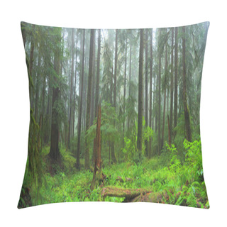 Personality  Hoh Rain Forest Pillow Covers