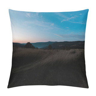 Personality  Sunset In Forest Against Blue Sky With Clouds Pillow Covers