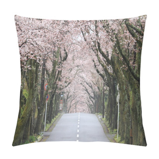 Personality  Tunnel Of Cherry Blossoms In Izu Highland, Shizuoka, Japan Pillow Covers